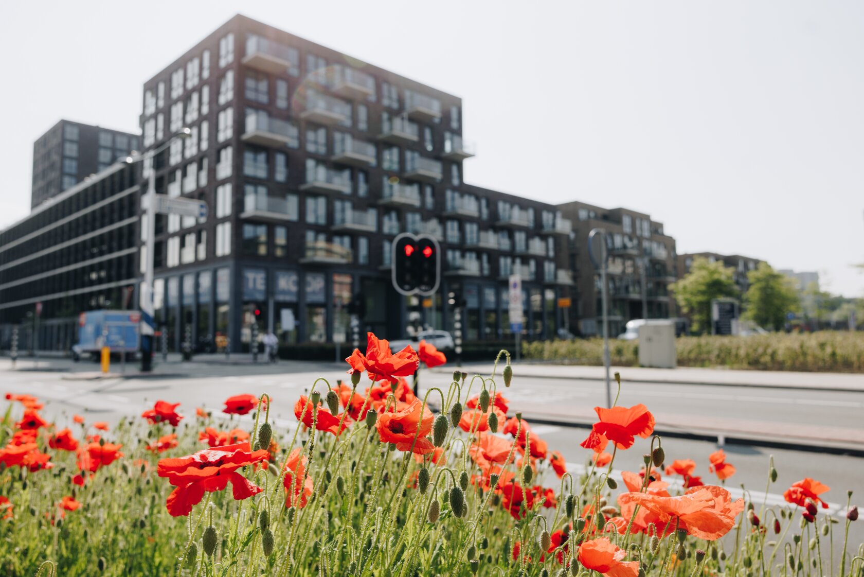 free-sector-houses for rent on Theodora Eigemanpad 266