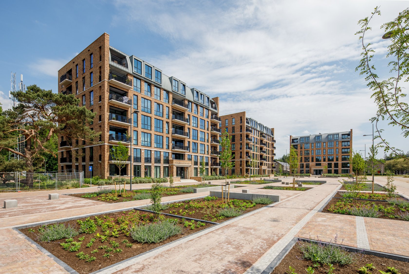 appartementen te huur op Cornelis Garritsenstraat 19
